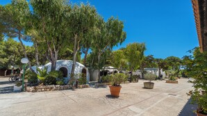 Un patio con plantas en macetas, senderos de piedra y arquitectura tradicional.