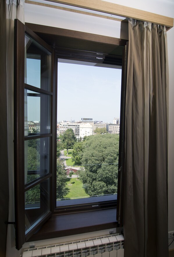 Privilege, Deluxe kamer, 1 tweepersoonsbed, uitzicht op park | Uitzicht op de stad