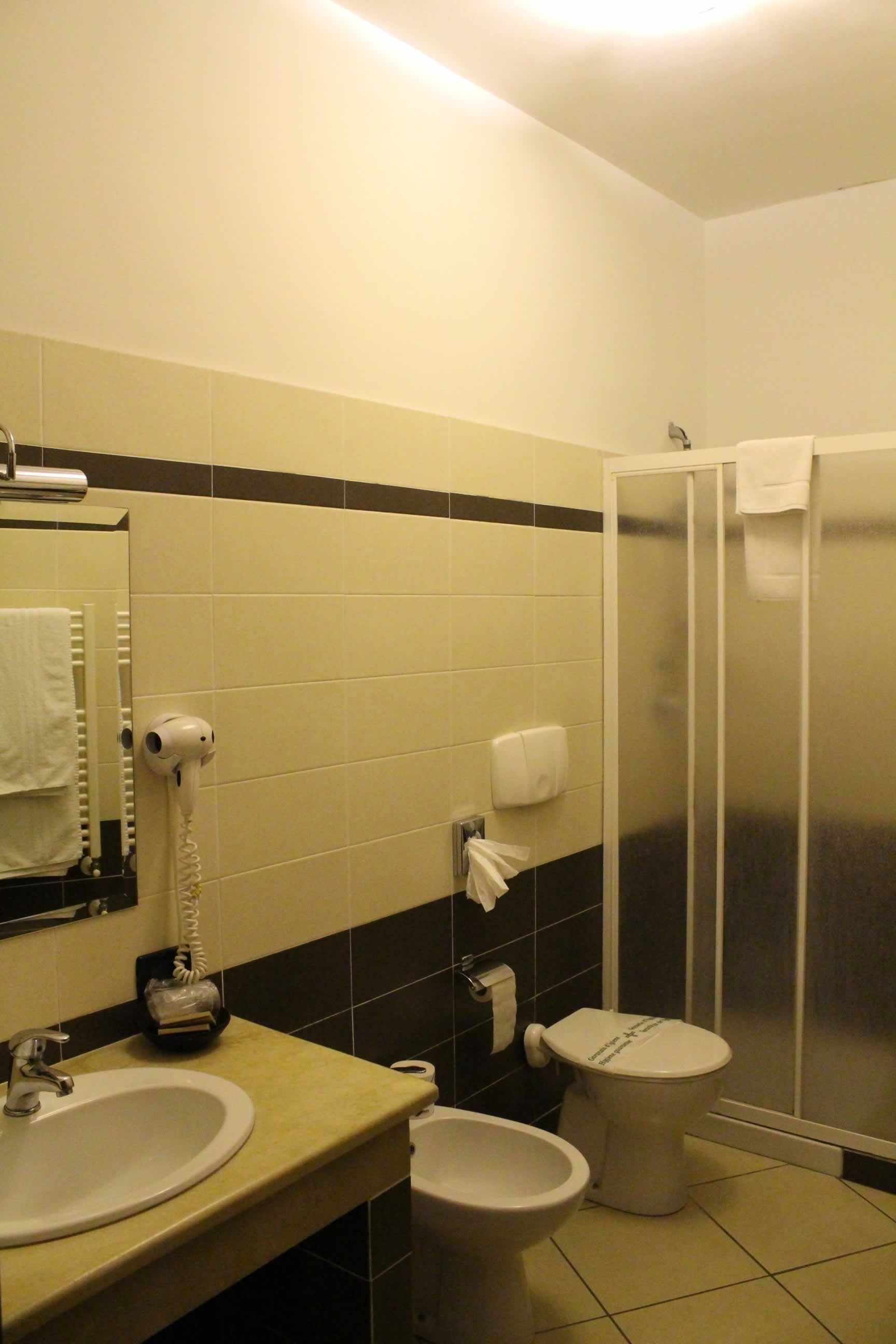 standard double or twin room | bathroom | shower, free toiletries, hair dryer, bidet