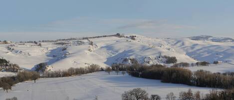 Schneebedeckte Landschaft mit sanften Hügeln und vereinzelten Bäumen.