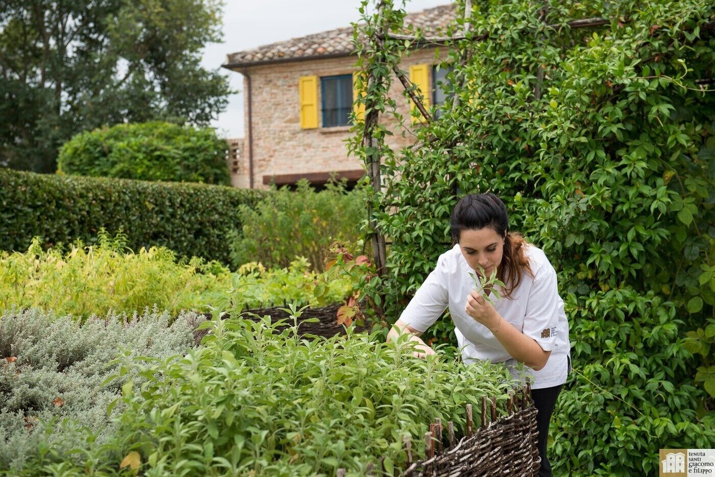 Una persona si occupa di un giardino ricco di piante, con una casa sullo sfondo.