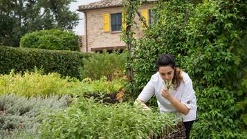 Una persona si occupa di un giardino ricco di piante, con una casa sullo sfondo.