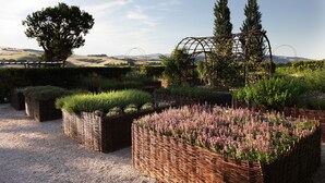 A garden with various plant arrangements and a pergola structure. - Tenuta Santi Giacomo e Filippo (Urbino)