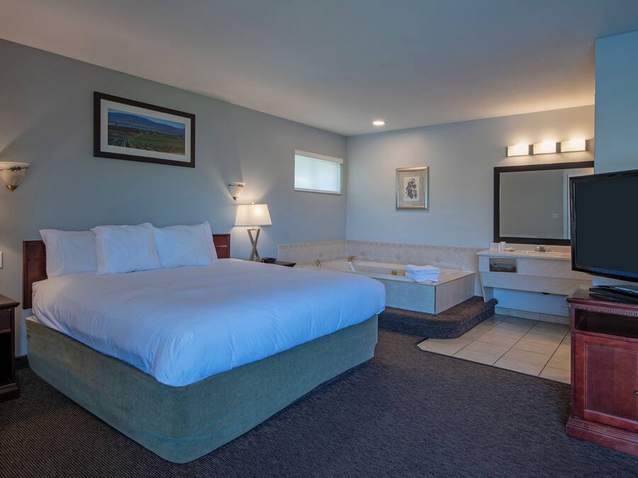 Una habitación de hotel con una cama grande, un sofá, una televisión, un baño y un escritorio.