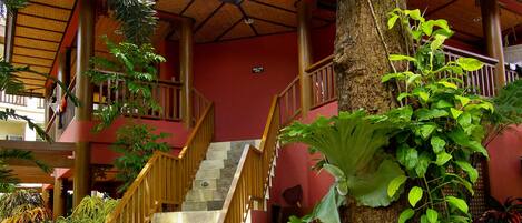 Una escalera que conduce a un espacio cubierto con un árbol y plantas cercanas.