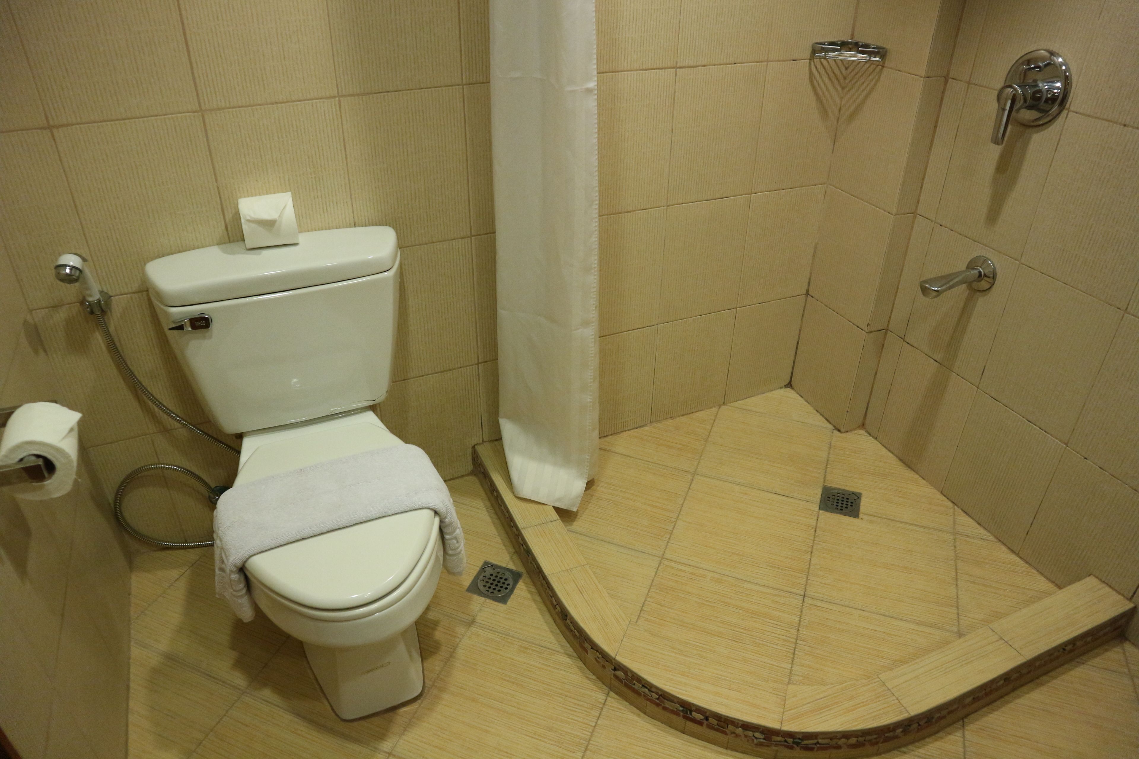 Un baño con inodoro, ducha y toallero.
