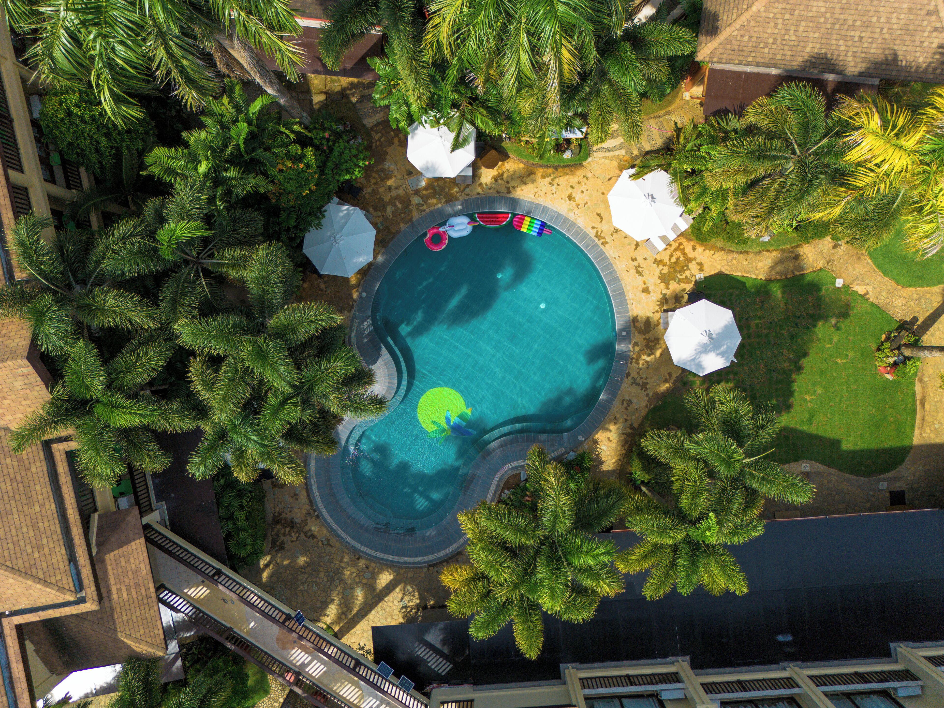 outdoor pool, pool umbrellas, pool loungers