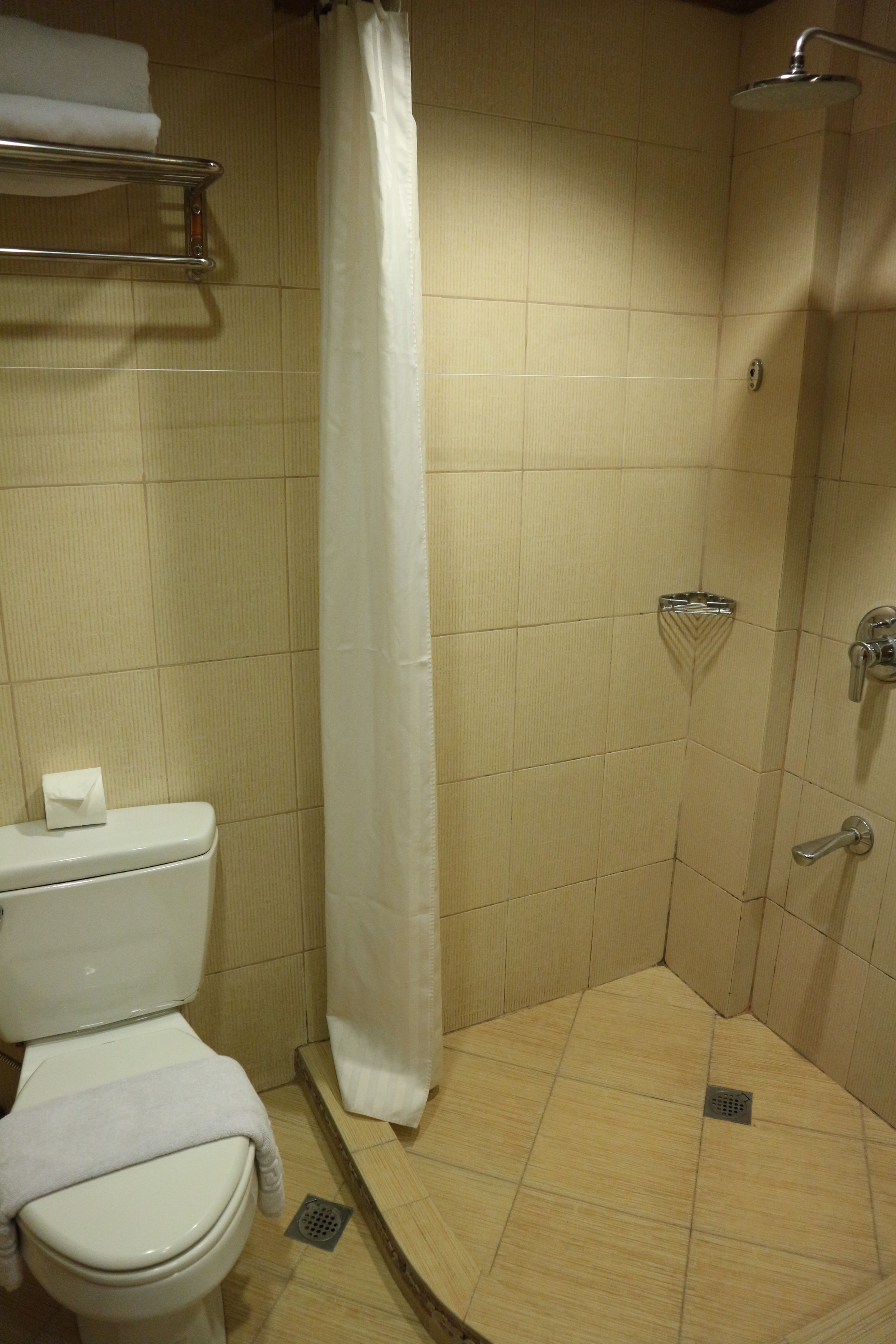 A bathroom with a shower, toilet, and a towel rack.