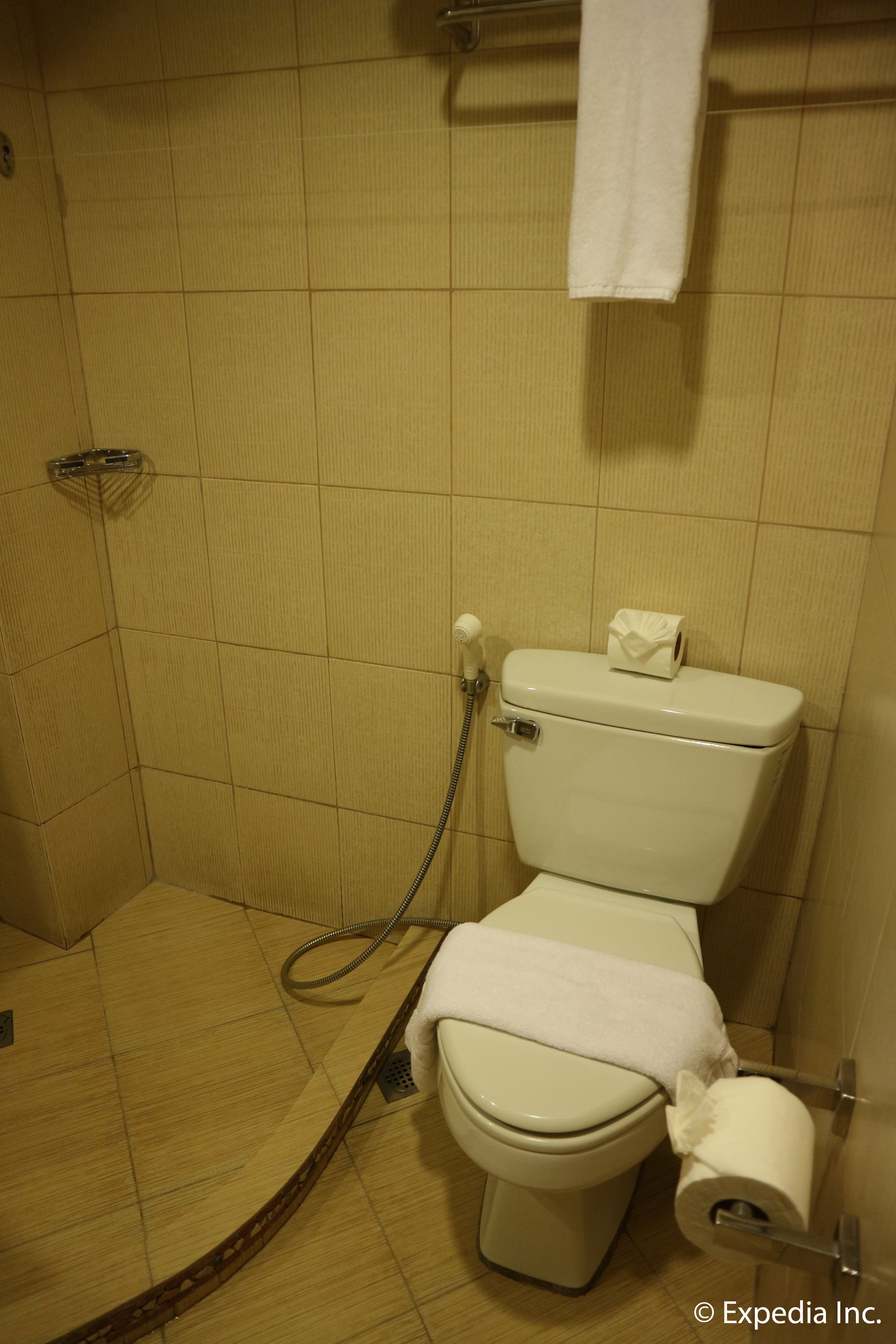 A bathroom with a toilet, a shower, and a towel hanging on the wall.