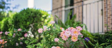 Un jardin où s’épanouissent des fleurs roses devant un bâtiment à la façade en briques et agrémenté d’une rambarde en métal.