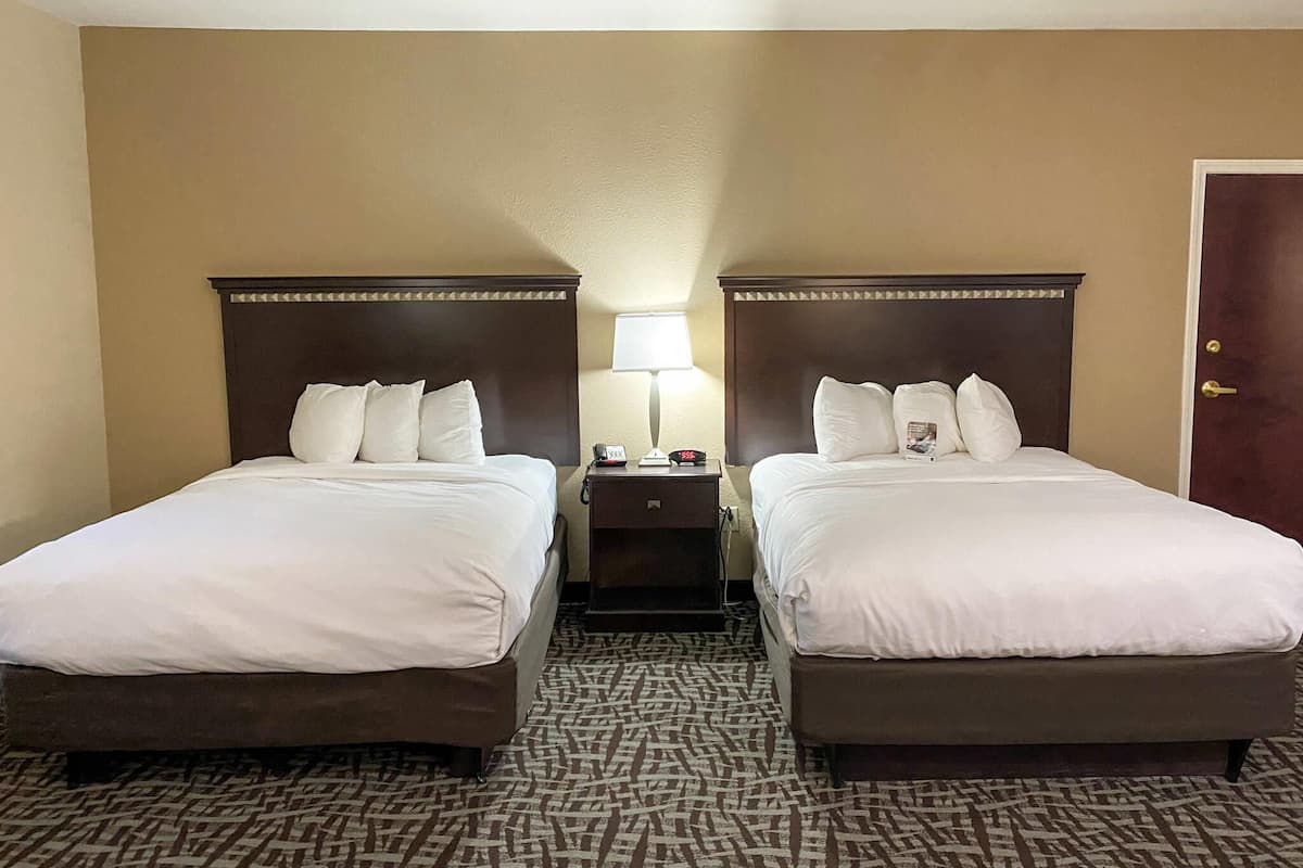 Suite, para no fumadores | Sábanas de algodón egipcio, ropa de cama de alta calidad y edredón