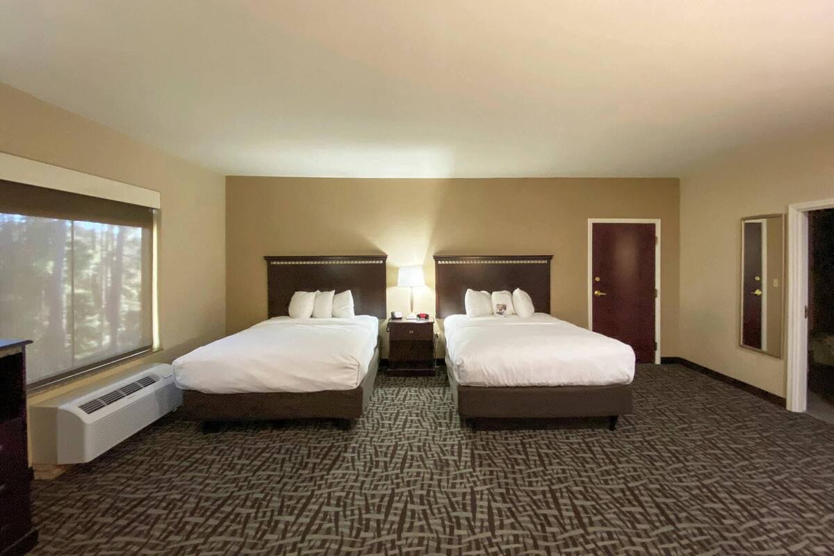A hotel room with two beds, a window, a door, and a carpeted floor.