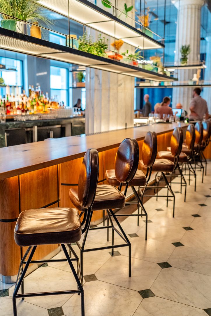 A bar area with a long counter, multiple bar stools, and a variety of plants on shelves above.
