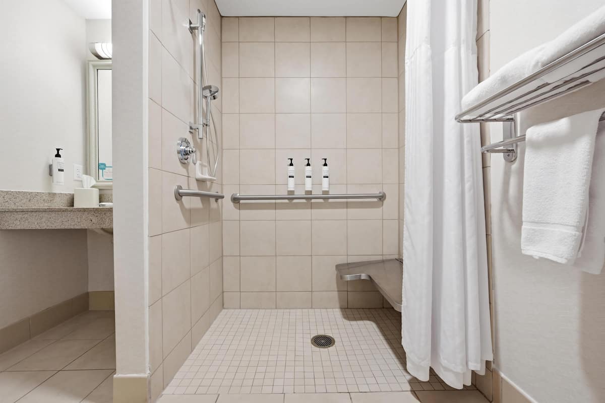 Habitación, con acceso para personas discapacitadas | Regadera en el baño