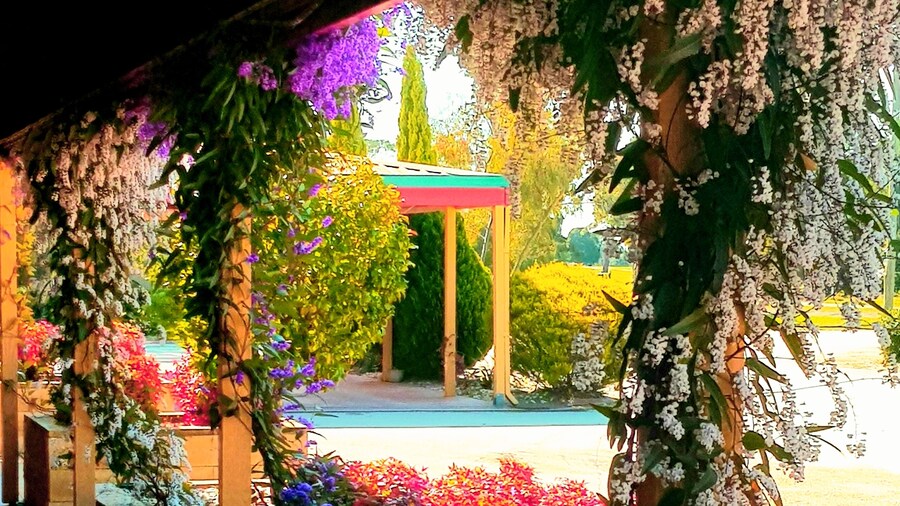 Barooga Country Inn Motel