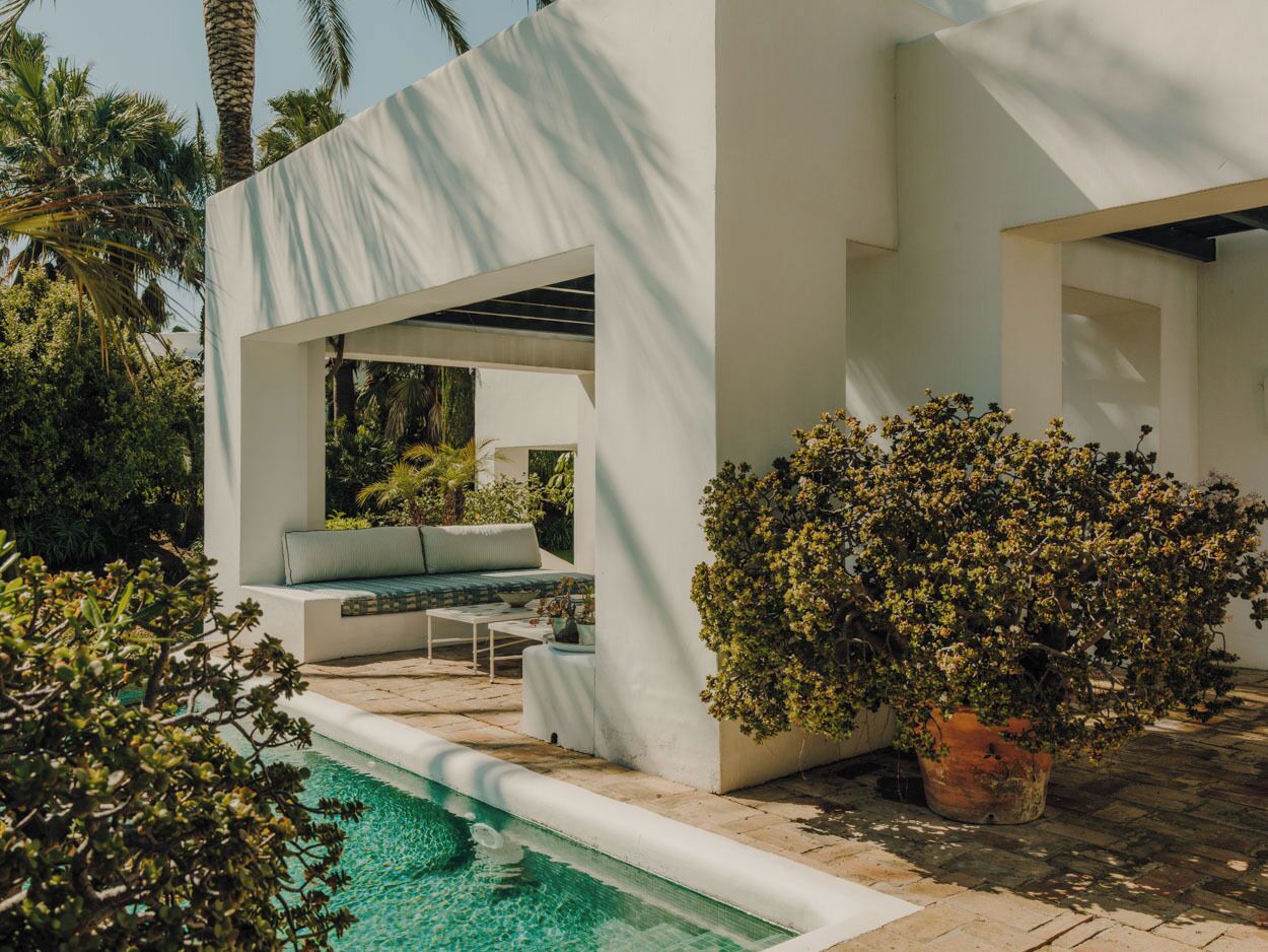 Un área de piscina exterior moderna, con un espacio de descanso y una planta grande en maceta.