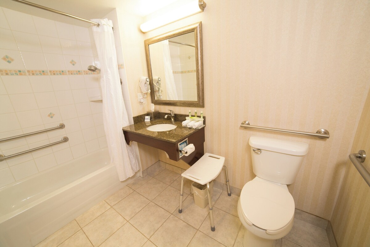 Standard Room, 1 Queen Bed | In-room safe, desk, iron/ironing board, rollaway beds (surcharge)