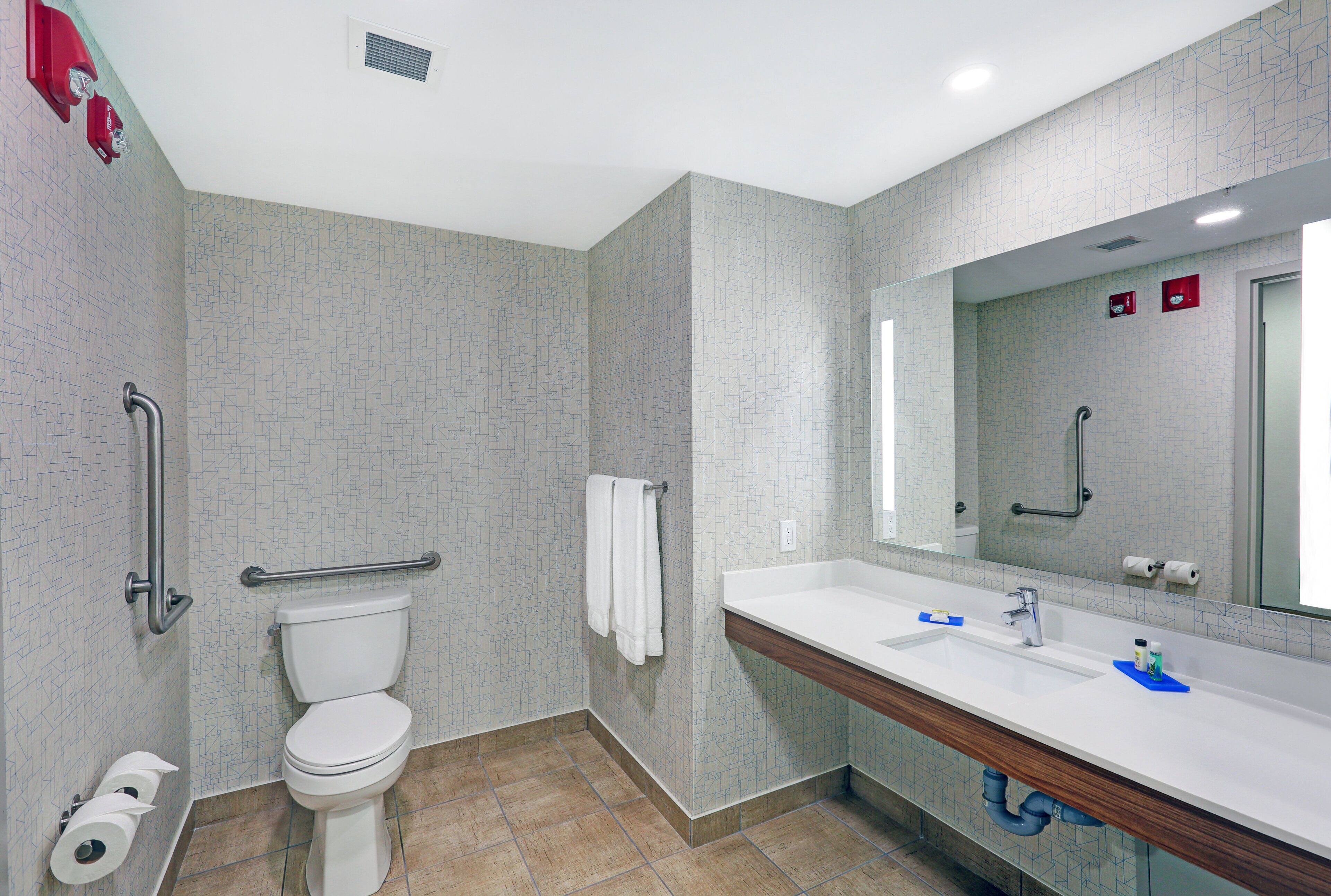 A modern bathroom with a toilet, handrails, a sink, and a mirror.