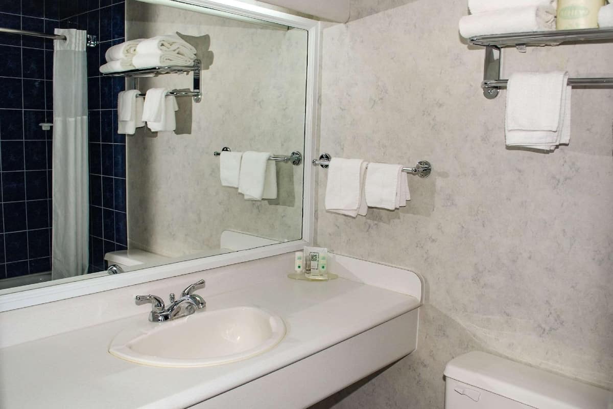 Bathroom | Combined shower/tub, hair dryer, towels