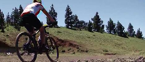 Una persona montando en bicicleta por un sendero de tierra con árboles al fondo.