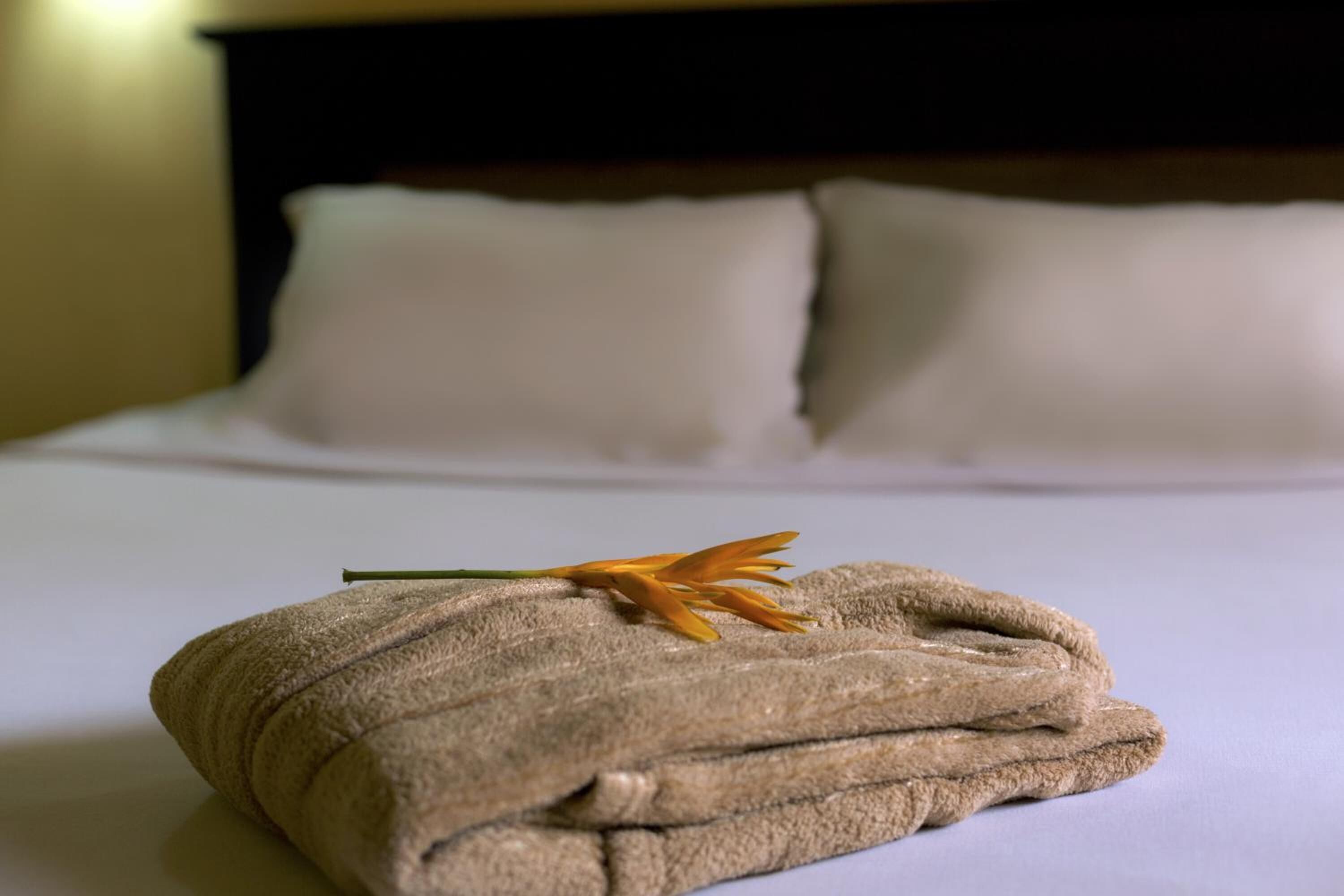 Foto - Dunia Hôtel Bissau