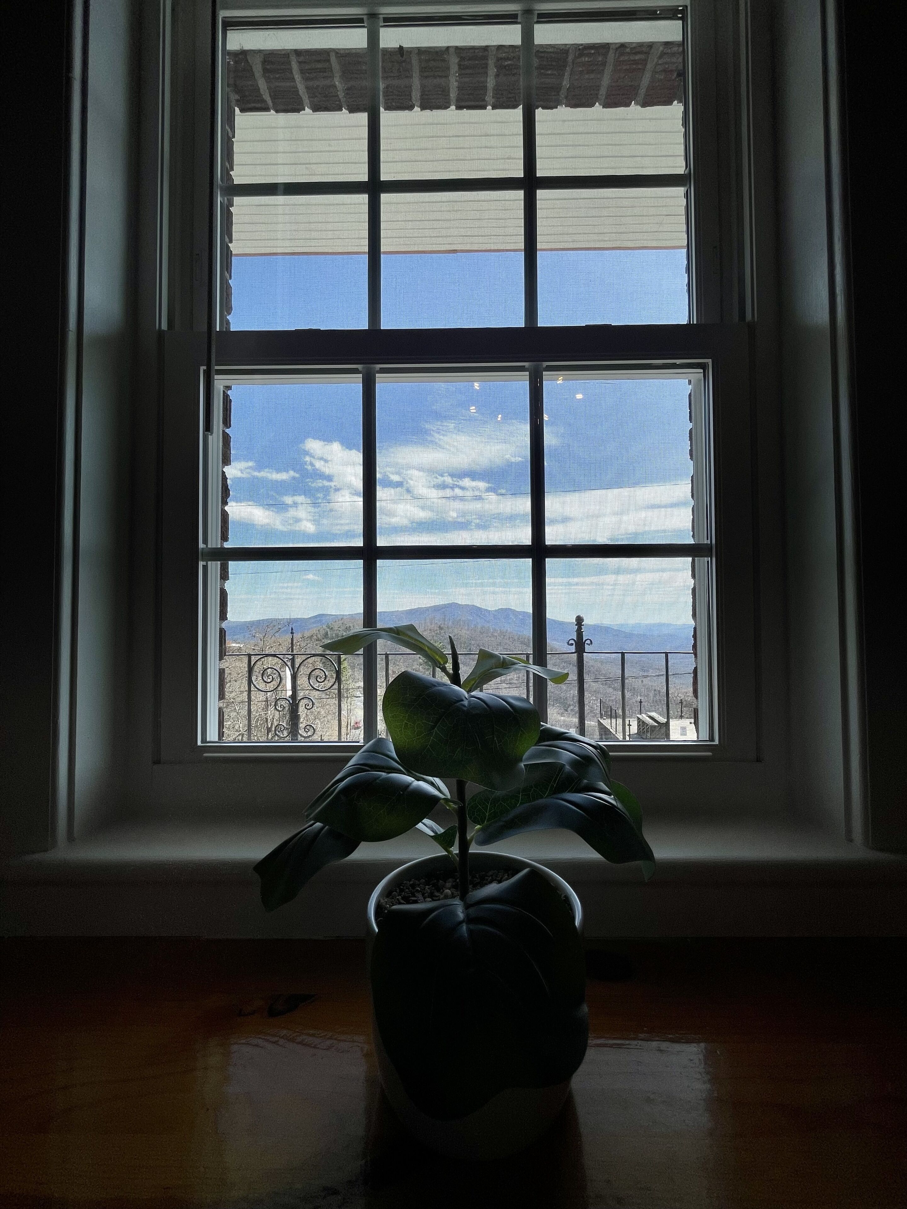 View from room