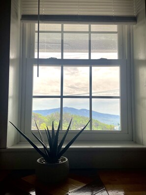 Standard Room, 1 Queen Bed, Non Smoking (Room 204) | View from room - Skyline Village Inn  (Spruce Pine)