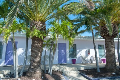 Siesta Motel