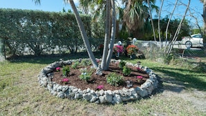 Un jardín con borde de piedra, palmeras y diversas plantas.