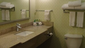 A bathroom with a sink, mirror, towel rack, and toilet. - Holiday Inn Express & Suites Atlanta East – Lithonia by IHG (Lithonia)
