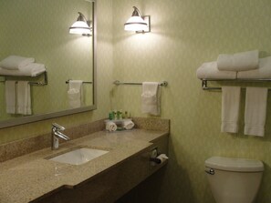 A bathroom with a sink, mirror, towel rack, and toilet. - Holiday Inn Express & Suites Atlanta East – Lithonia by IHG (Lithonia)