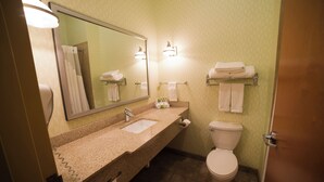 A bathroom with a granite countertop, a sink, a mirror, a toilet, and a towel rack. - Holiday Inn Express & Suites Atlanta East – Lithonia by IHG (Lithonia)