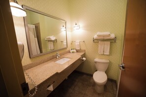A bathroom with a granite countertop, a sink, a mirror, a toilet, and a towel rack. - Holiday Inn Express & Suites Atlanta East – Lithonia by IHG (Lithonia)