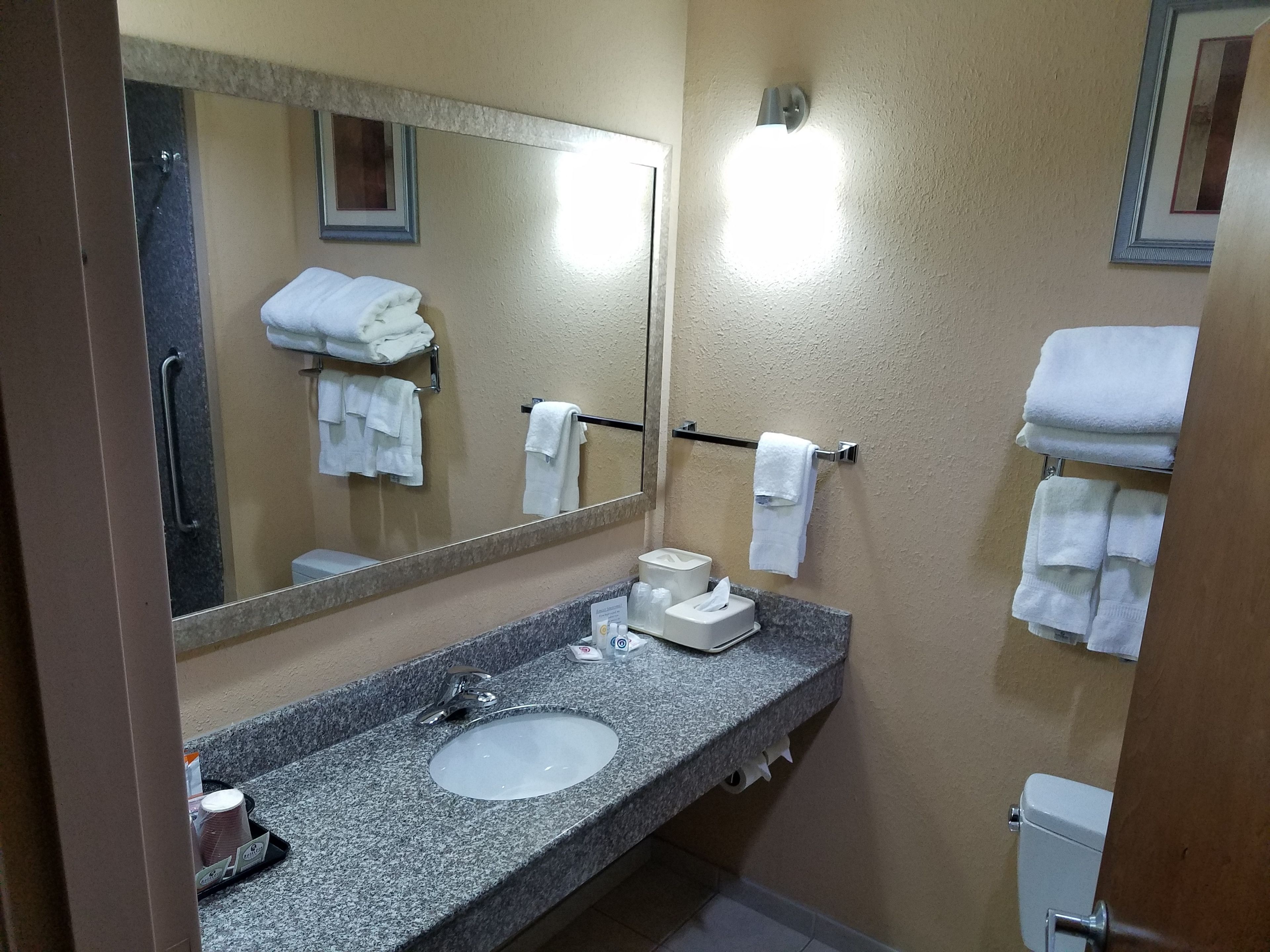 combined shower/bathtub, free toiletries, hair dryer, towels