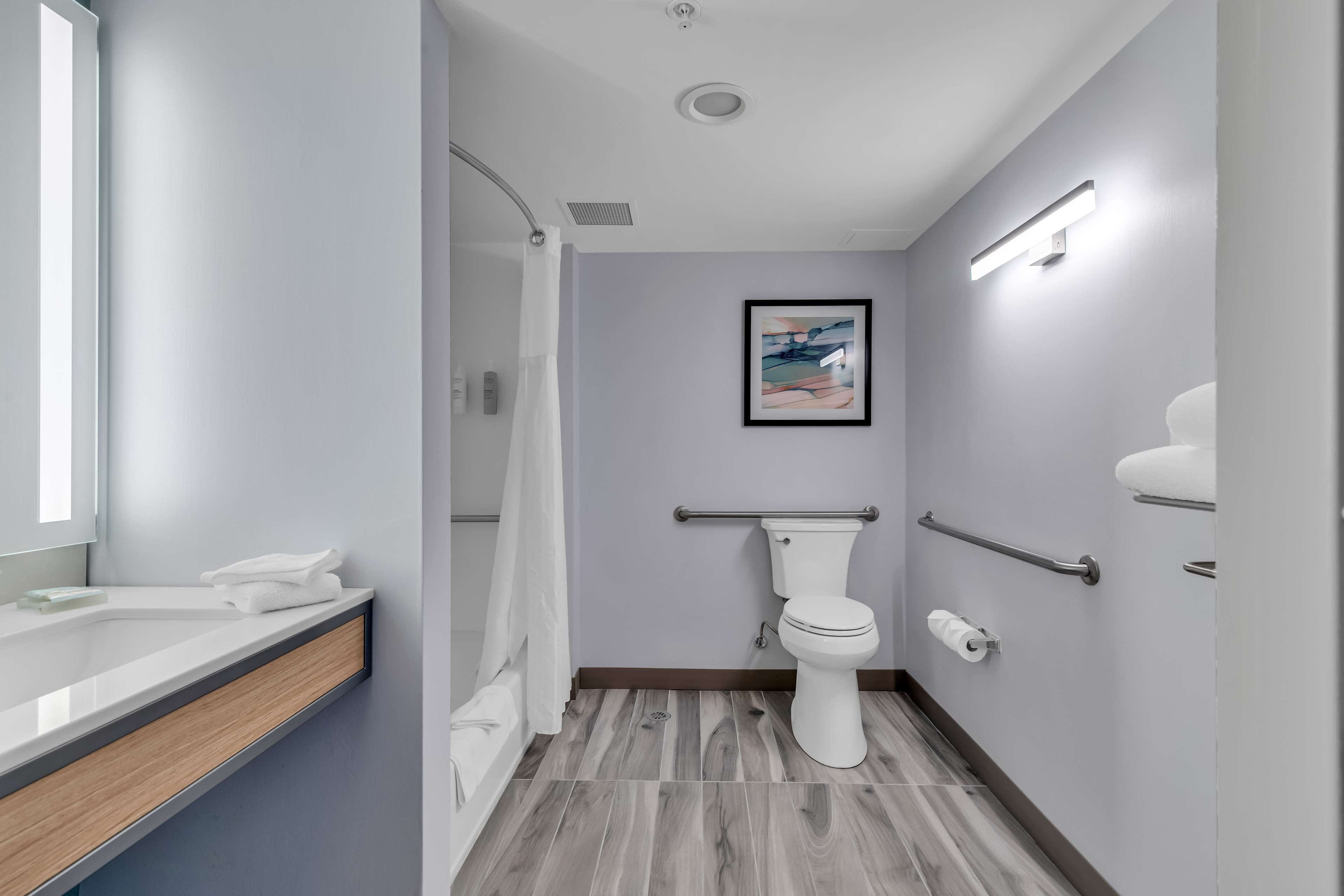 Un baño moderno con inodoro, barras de apoyo, cortina de ducha y un cuadro en la pared.