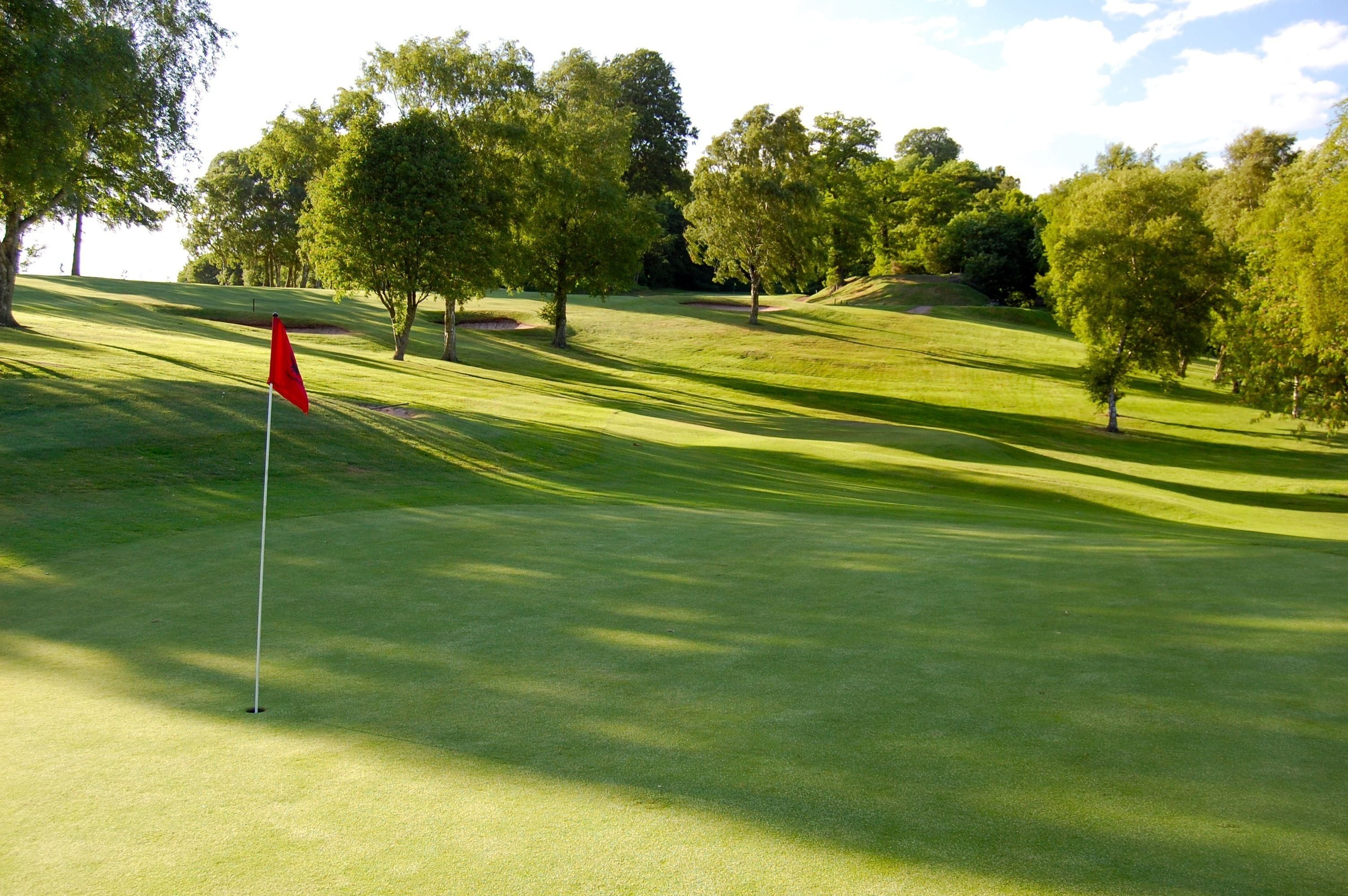 A golf course with a red flag, trees, and a clear sky.