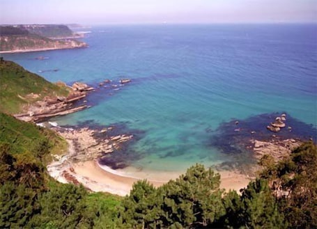 Beach. Hotel Playa de las Llanas