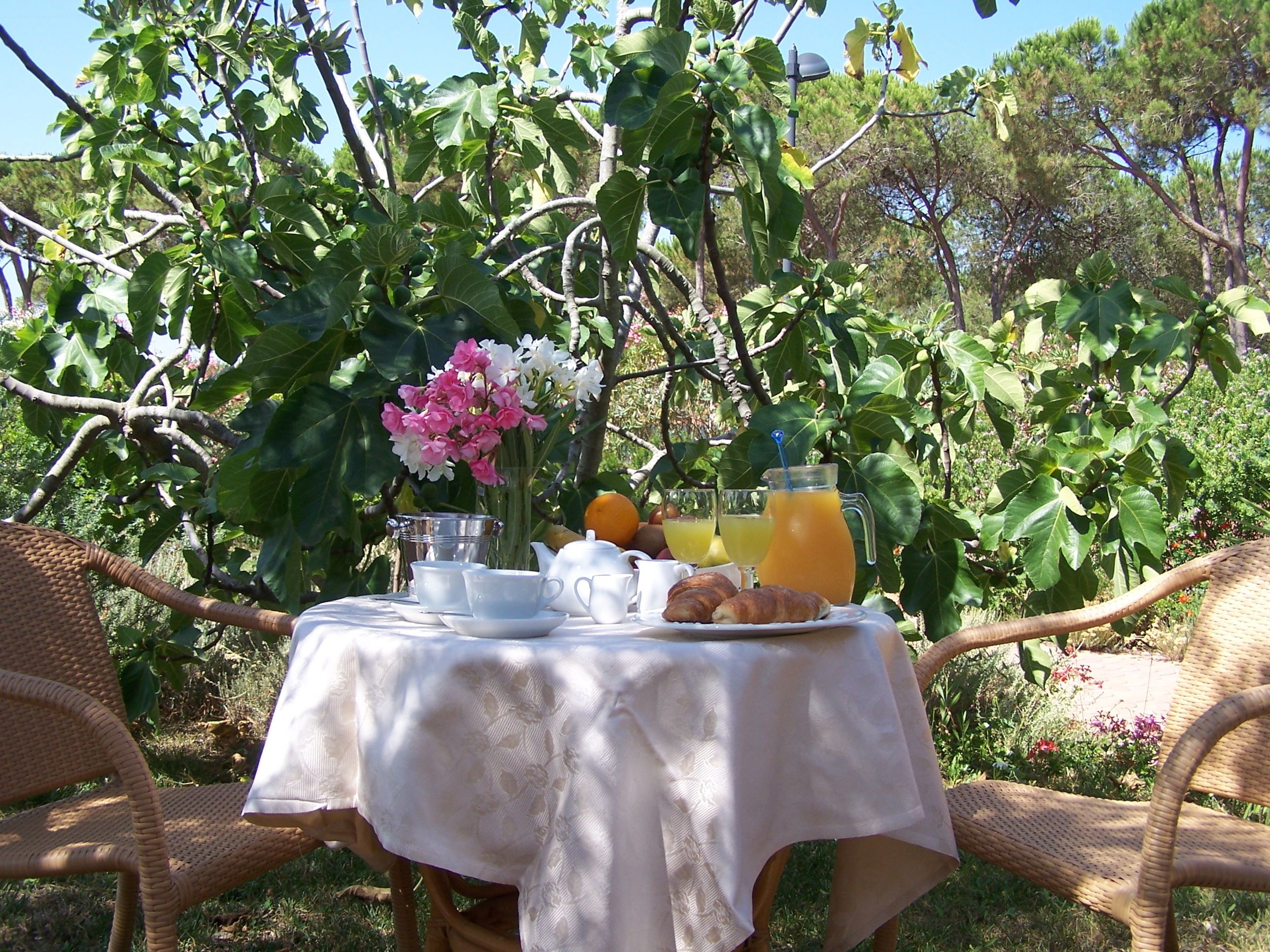 free buffet breakfast