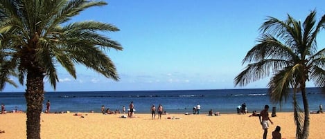 Nära stranden