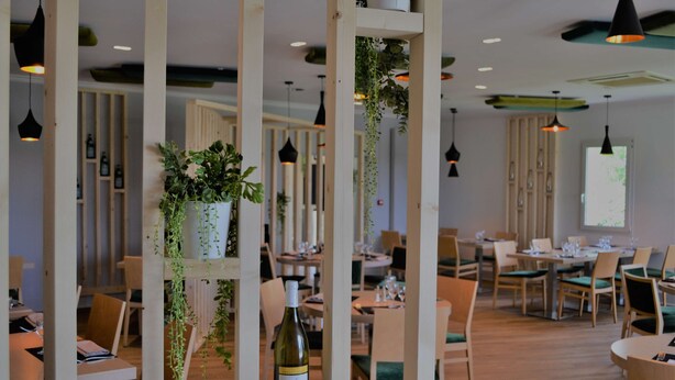 A restaurant with wooden furniture, hanging plants, and pendant lighting. - Kyriad Auxerre - Appoigny (Appoigny)