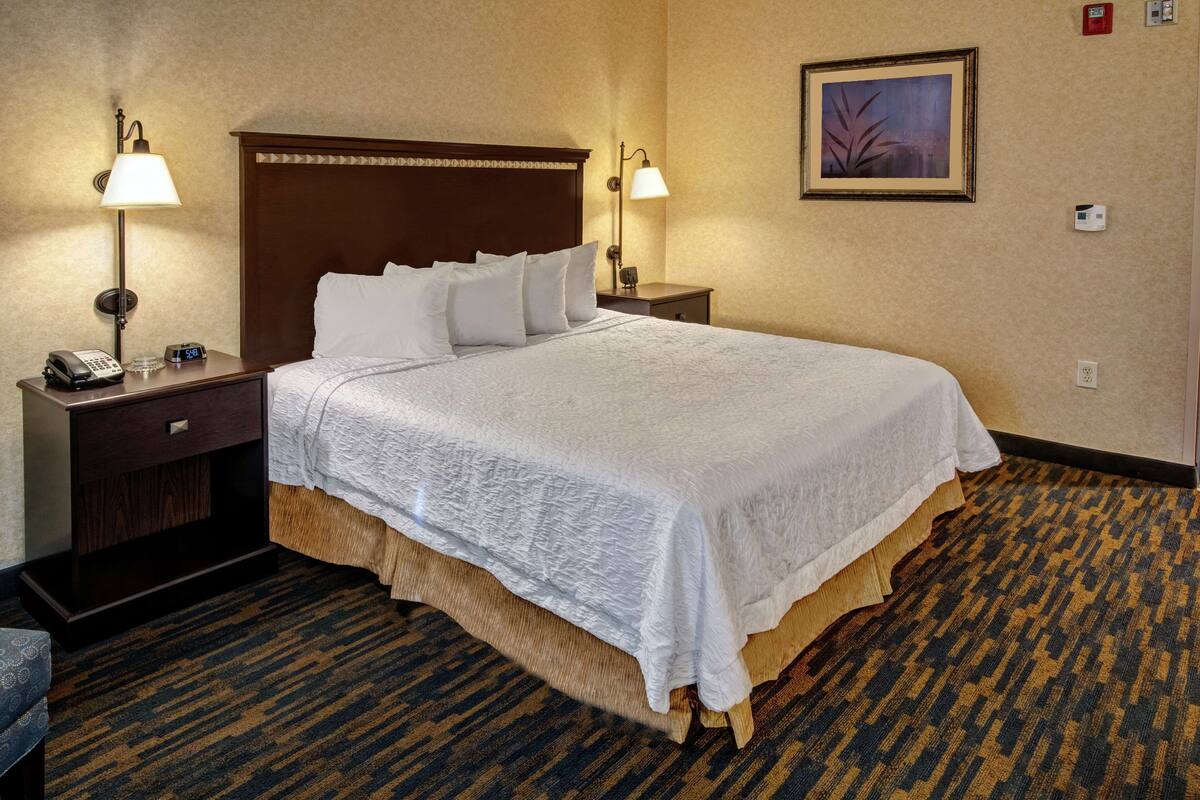 Quarto de hotel com uma cama grande, duas mesas de cabeceira com abajures, um criado-mudo com telefone e um quadro na parede.
