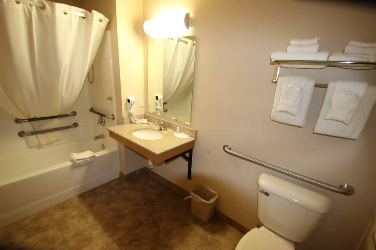 Combined shower/tub, free toiletries, hair dryer, towels