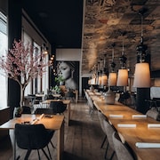 Carbon Hotel - Different Hotels