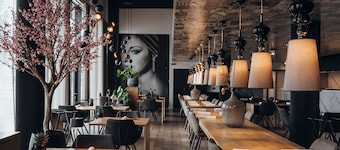 Carbon Hotel - Different Hotels