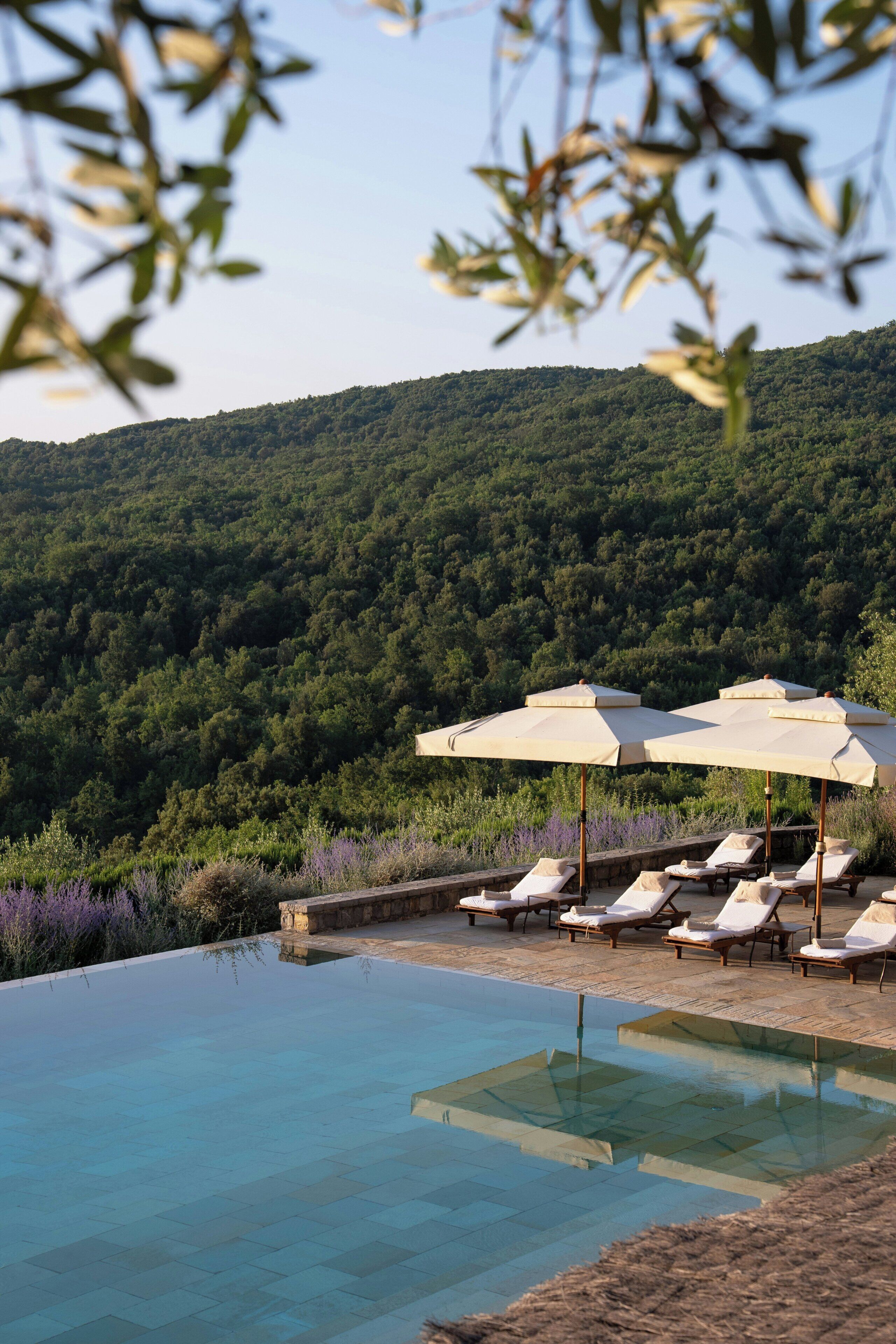 An infinity pool with lounge chairs and umbrellas, surrounded by a forested hillside.