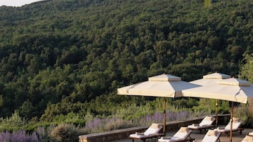 An infinity pool with lounge chairs and umbrellas, surrounded by a forested hillside.