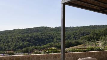 Suite, Terrasse | Ausblick vom Zimmer