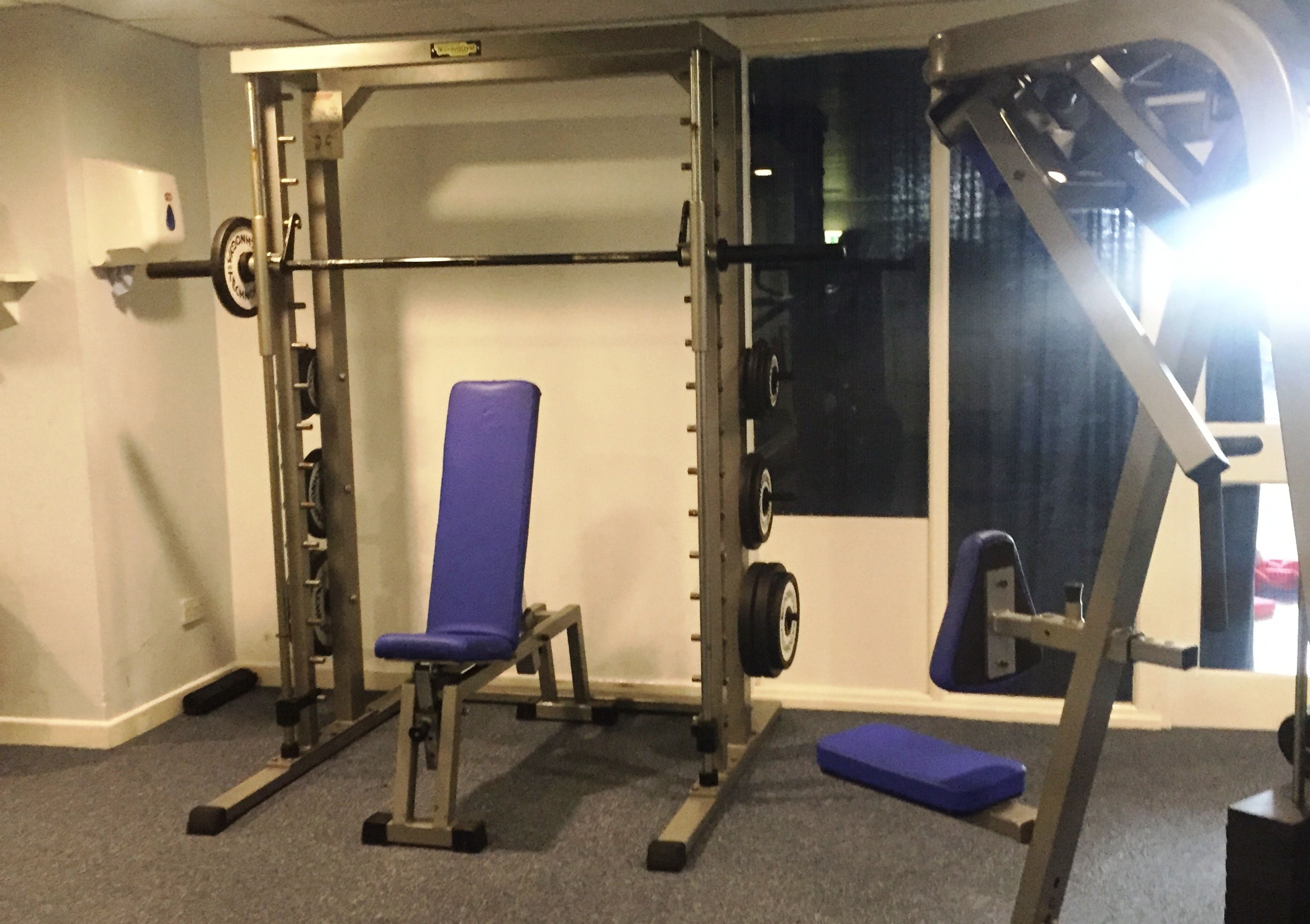 A gym with a squat rack, bench, and weight plates.