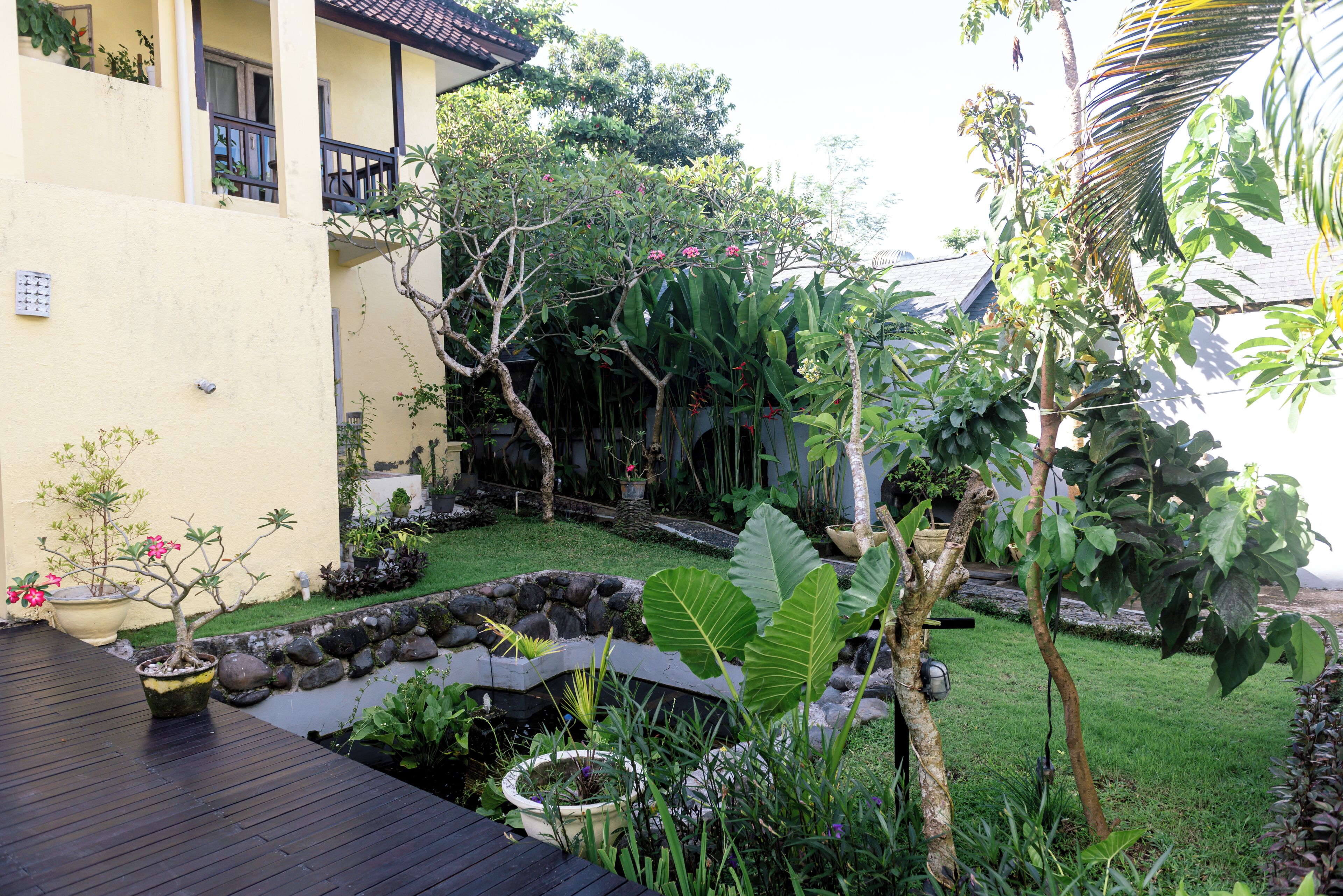 Garden view