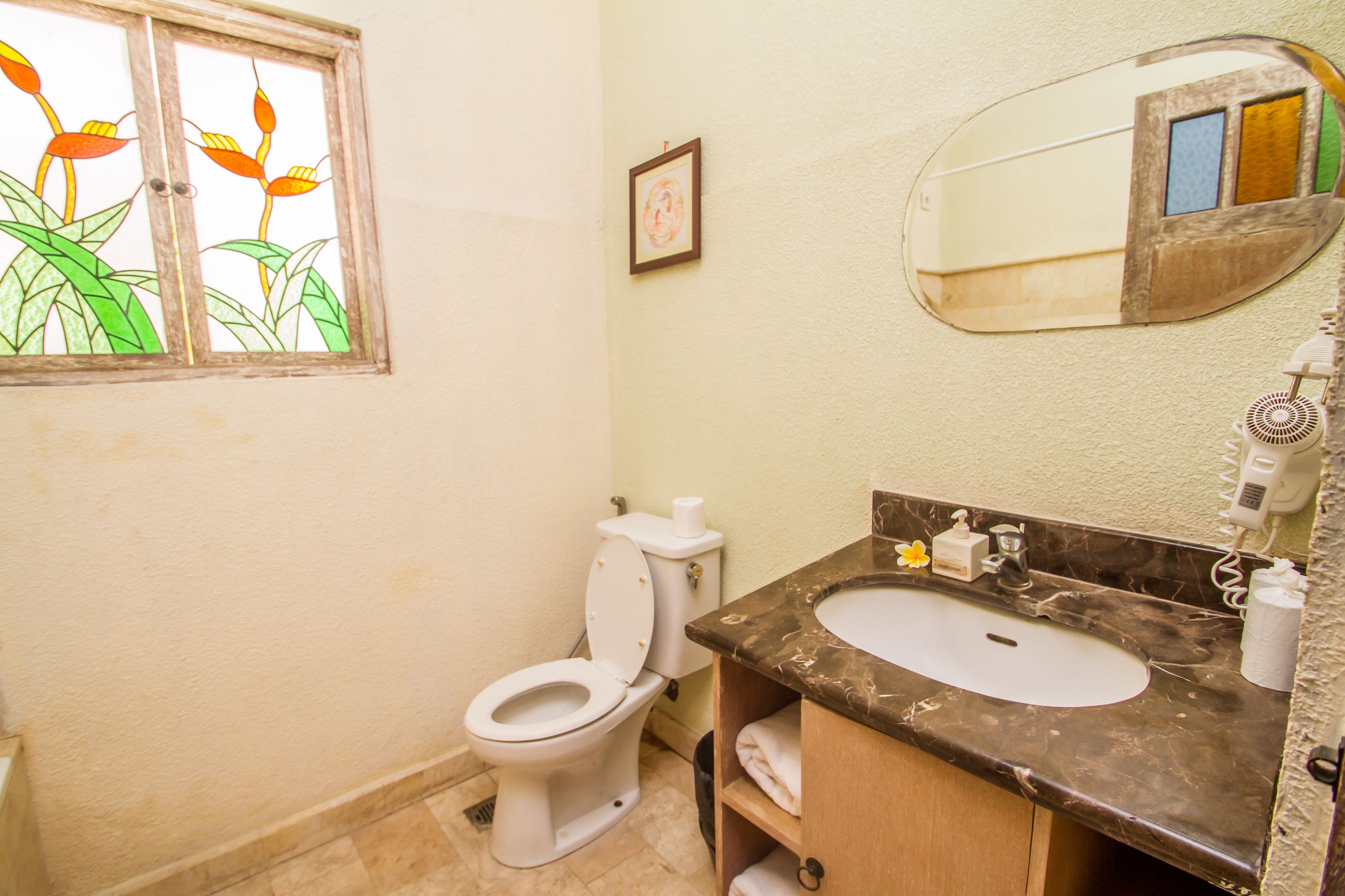 A bathroom with a toilet, sink, mirror, and a window with a floral design.